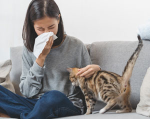 Allergy testing and treatment